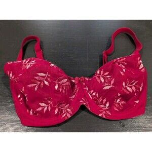 Panache Tango Bra 32DDDD (G) Underwire Sheer With Embroidery